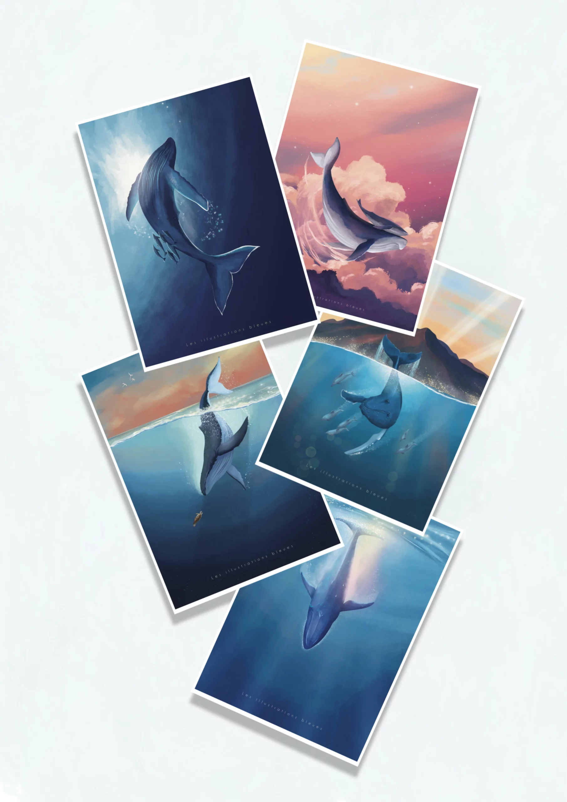 Baleines - Pack Cartes A5