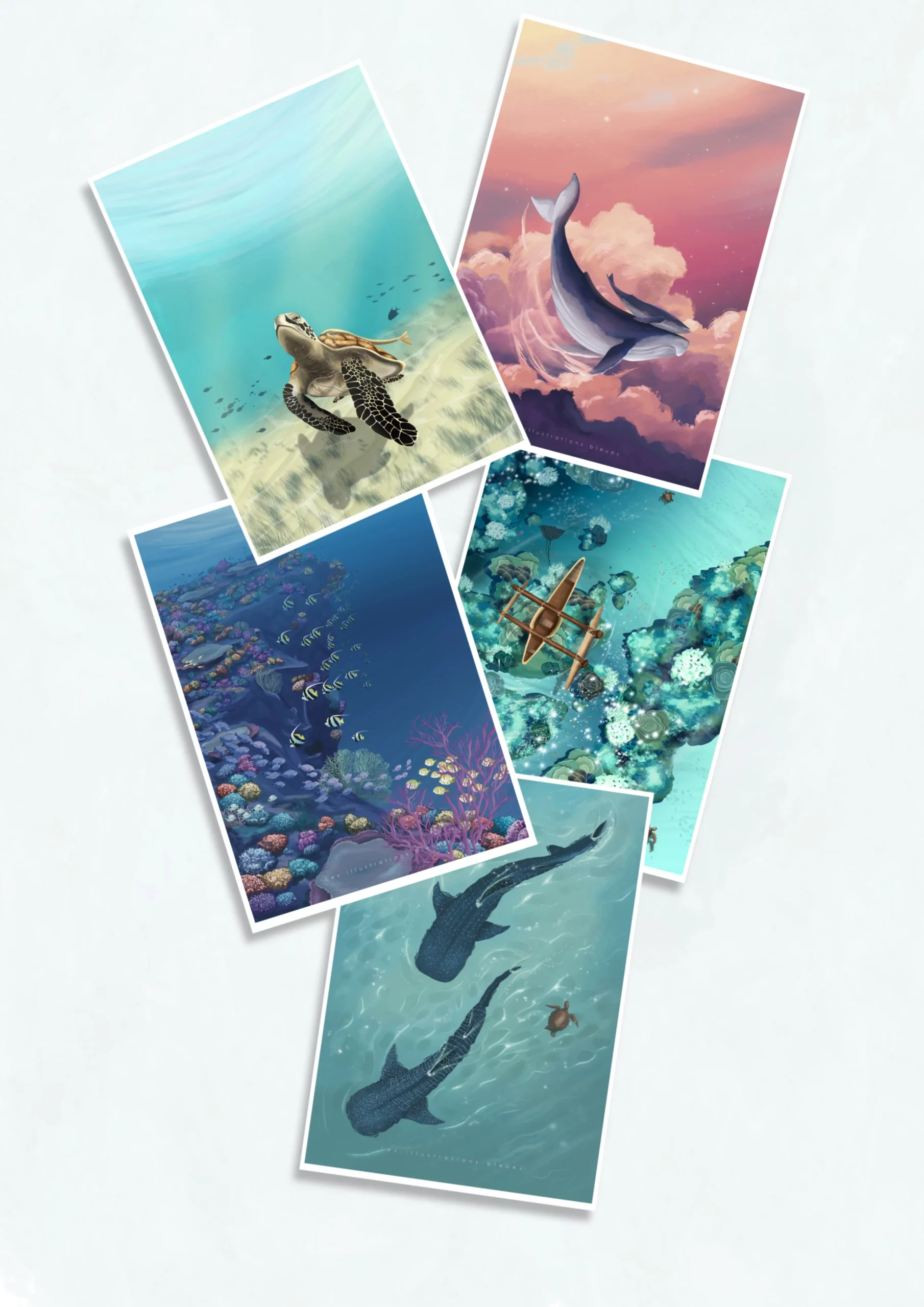 Megafaune - Pack Cartes A5
