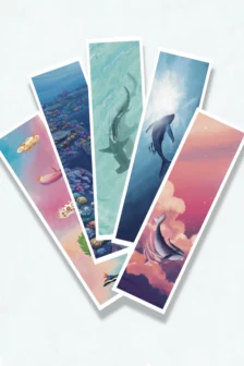 Couleurs | Pack de 5 Marques-Pages