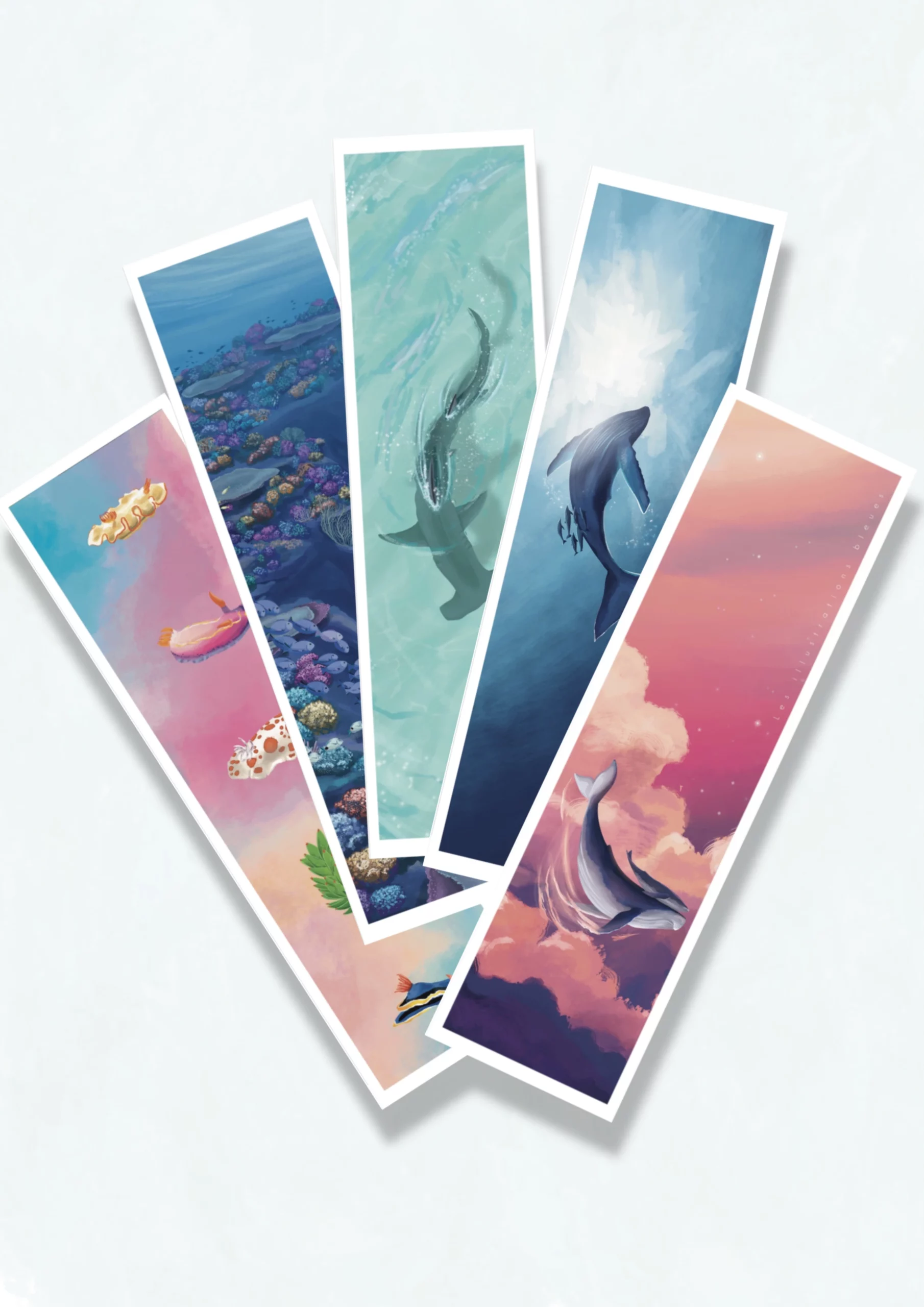 Couleurs | Pack de 5 Marques-Pages