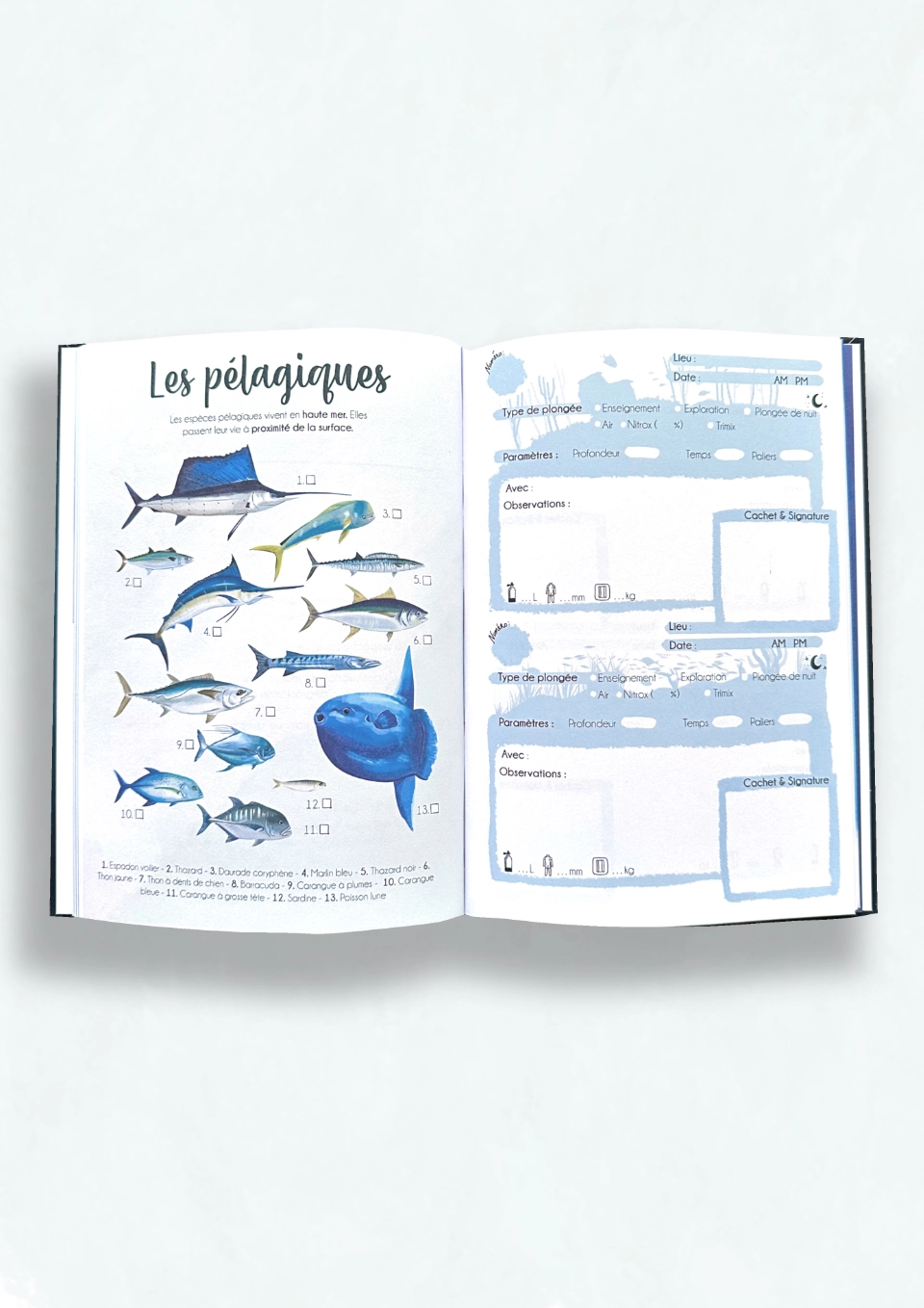 Intérieur du carnet de plongée illustré, page sur les pélagiques et page pour noter ses plongées