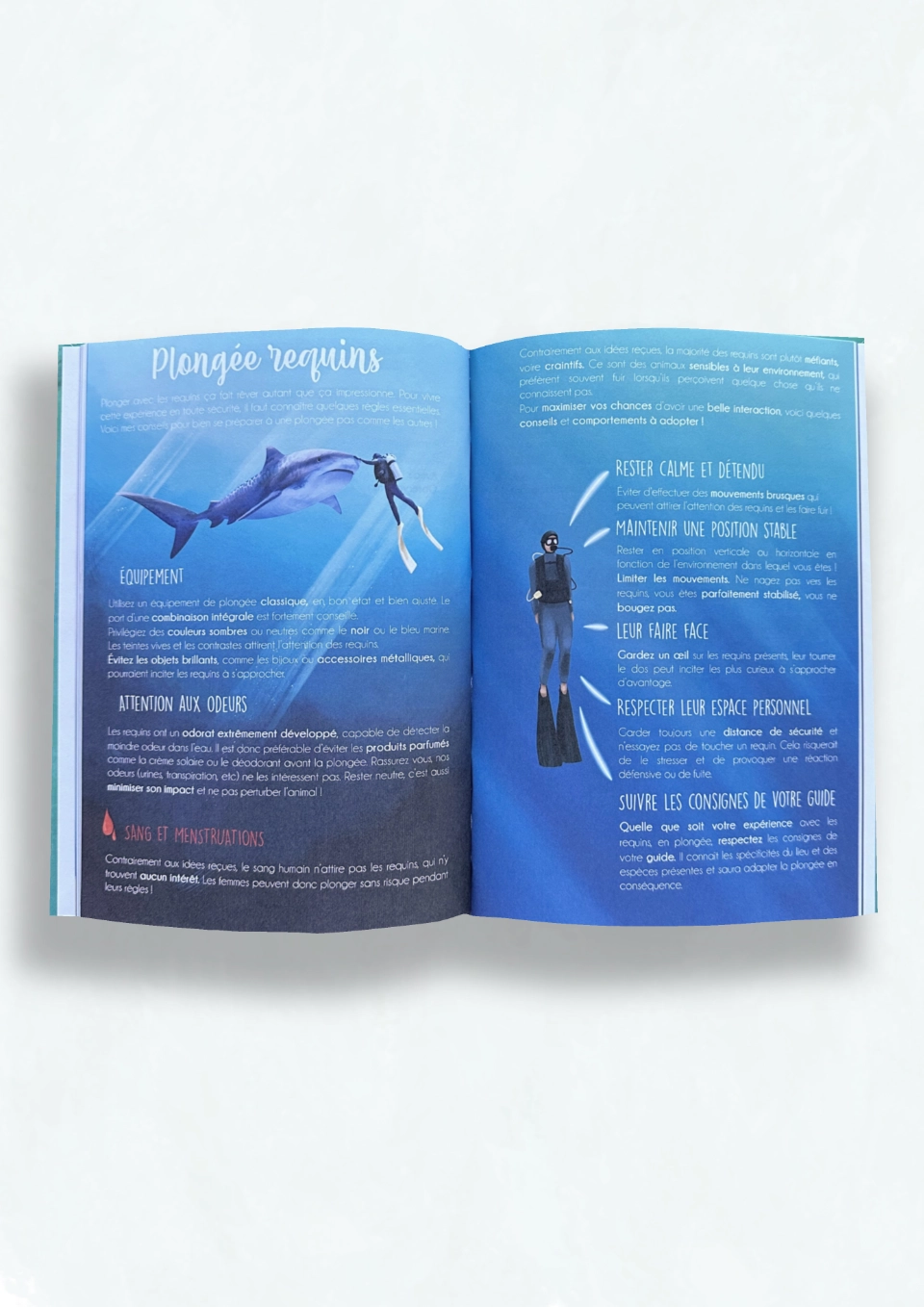 Pages intérieures du carnet de plongée illustrée, conseil d'approche et d'observation des requins