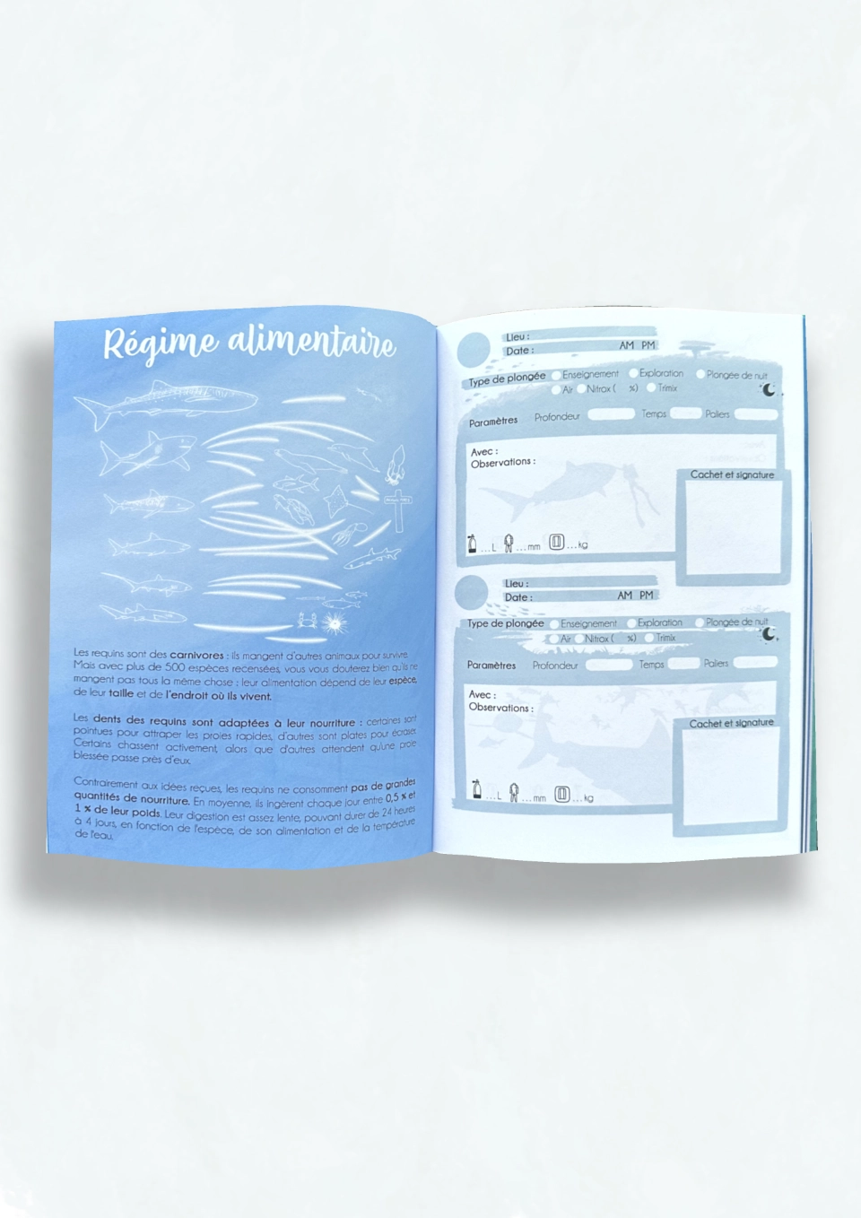 Page intérieure du carnet de plongée illustré