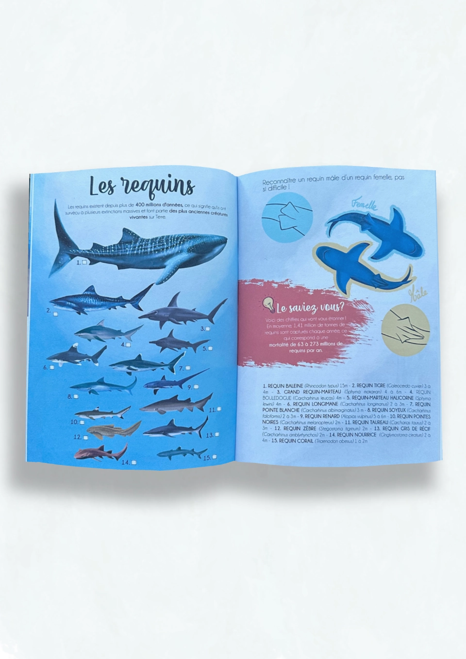 Intérieur du carnet de plongée, page sur les requins