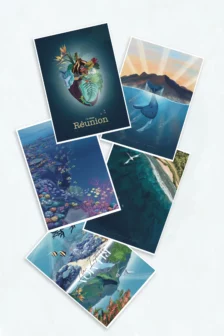 La Réunion - Pack Cartes A5