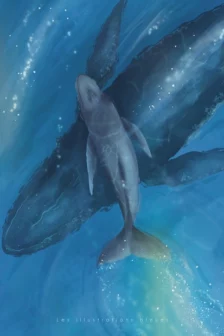 Baleine vs Baleineau