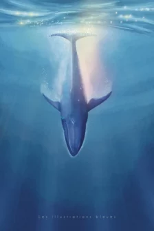 Le plongeon