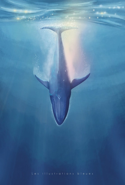 Baleines - Pack Cartes A5 – Image 2