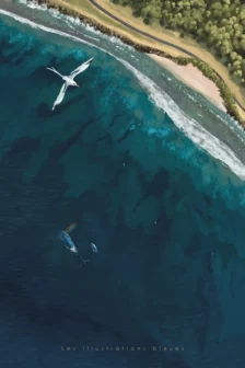 Poster dessiné à la main montrant un paille-en-queue en vol au-dessus de la côte de La Réunion et des baleines dans l’océan.