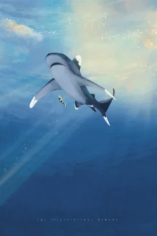 Poster dessiné à la main représentant un requin longimane vu depuis le dessous, nageant sous la surface avec la lumière du soleil au-dessus de lui.