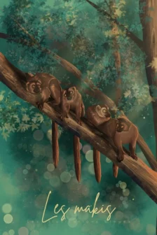Poster dessiné à la main représentant quatre makis installés sur une branche, dans un univers inspiré de Mayotte.