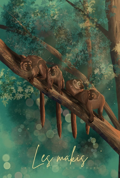 Poster dessiné à la main représentant quatre makis installés sur une branche, dans un univers inspiré de Mayotte.