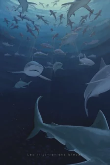 Poster dessiné à la main représentant un groupe de requins gris nageant face au plongeur dans l’océan.