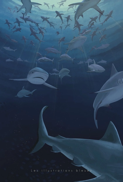Poster dessiné à la main représentant un groupe de requins gris nageant face au plongeur dans l’océan.