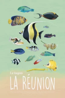 Poster dessiné à la main représentant plusieurs poissons du récif réunionnais, dont un poisson-perroquet, un chirurgien et une idole des Maures.