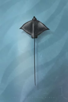 Poster dessiné à la main représentant une raie aigle vue du dessus, reconnaissable à ses motifs géométriques.