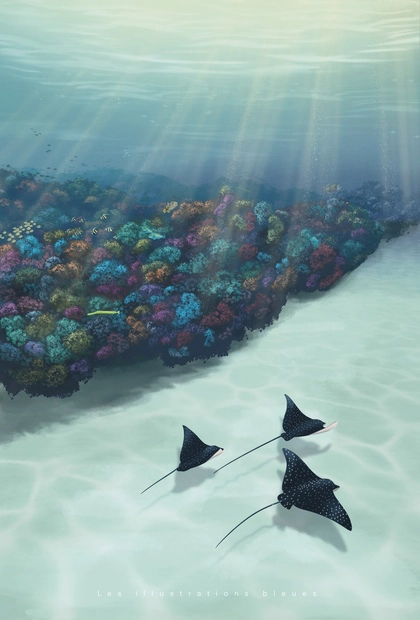 Poster dessiné à la main représentant trois raies nageant ensemble le long d’une barrière de corail colorée et lumineuse.