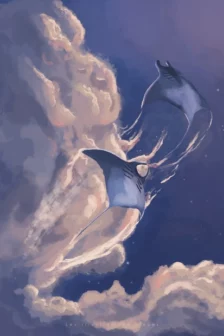 Poster dessiné à la main représentant deux raies manta volant dans des nuages aux teintes pastel, dans un univers onirique.