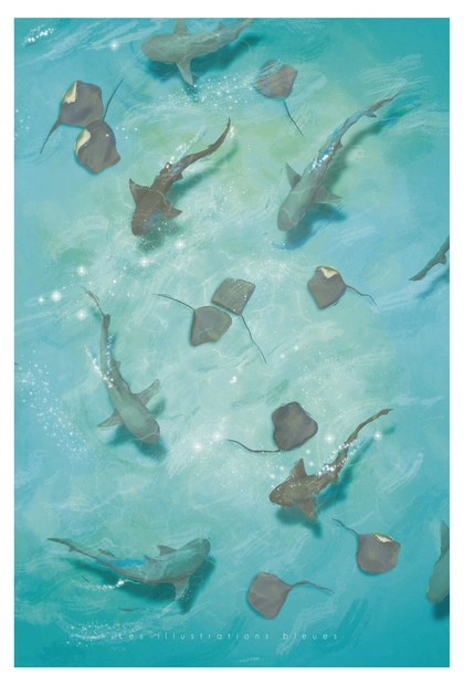 Poster dessiné à la main représentant un lagon vu du dessus, avec de nombreuses raies pastenagues et des requins dans l’eau.