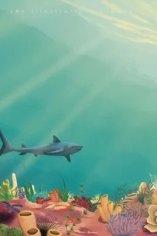 Poster dessiné à la main représentant un récif corallien aux couleurs chaudes avec coraux, éponges, poissons et un requin.