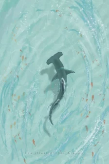 Poster dessiné à la main représentant un requin marteau vu du dessus, nageant paisiblement dans une eau cristalline.