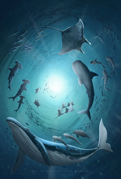 Poster dessiné à la main représentant une ronde de baleines, requins, raies et dauphins autour d’un plongeur.