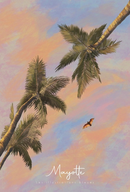 Poster dessiné à la main représentant une roussette volant entre des palmiers sous un ciel rose au coucher du soleil à Mayotte.